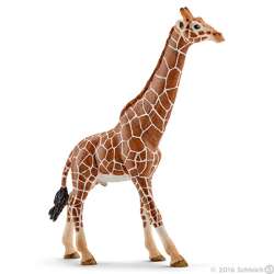 Schleich 14749 Samiec żyrafy (GXP-526624)