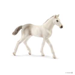 Schleich 17079 Źrebię rasy holsztyńskiej (13860) (SLH 17079) - 1