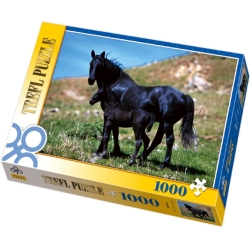 1000 elementów. Czarne konie - Puzzle TREFL - 1
