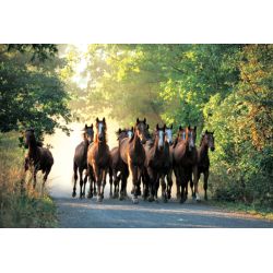 PUZZLE TREFL 1000 OGIERY W LESIE (10168) - 2