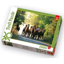 PUZZLE TREFL 1000 OGIERY W LESIE (10168) - 1