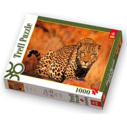 1000 elementów. LAMPART - PUZZLE TREFL (GXP-502040) - 1
