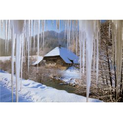 PUZZLE TREFL 1000 SOPLE LODOWE W SCHWARZWALDZIE (GXP-502047) - 2