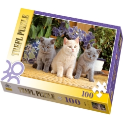 PUZZLE TREFL 100 KOTY BRYTYJSKIE - 1