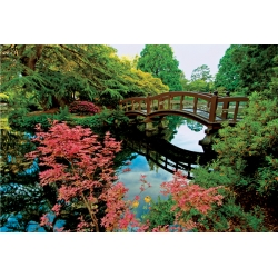 PUZZLE TREFL 1500 PARK HATLEY W KANADZIE (26077 TREFL) - 2