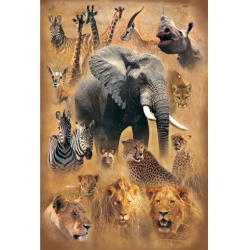 Świat dzikich zwierząt - Puzzle TREFL 2000 elementów (27031) - 2