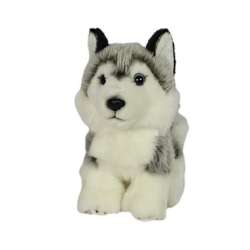 Pies Husky 19cm