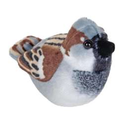 Wróbel