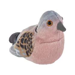 Turkawka