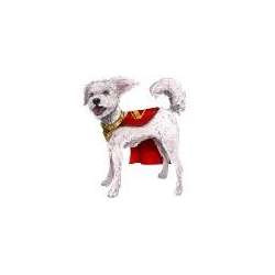 Superman Film: Interaktywny Krypto