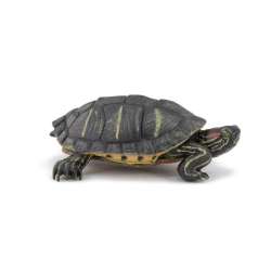 Papo 50309 Żółw z Florydy 2,2x6,1x4,6cm (PAPO 50309) - 2