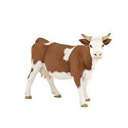 Papo 51133 Krowa rasy Simmental 13x4x8cm (51133 RUSSELL) - 2
