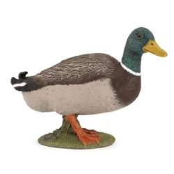 Papo 51155 Kaczka krzyżówka 7x4,9x3cm (PAPO 51155) - 2