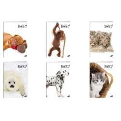 Zeszyt A5/32K linia BABY MIX (20szt)