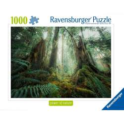 Puzzle 1000 Lasy - 1