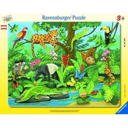 Puzzle 11 Co tu pasuje? Zwierzęta lasu deszczowego (RAP 051403) - 1
