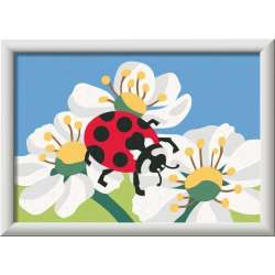CreArt dla dzieci: Wild Animals Biedronka