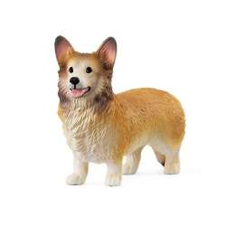 Corgi