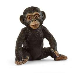 Schleich 14884 Szympans mały Wild Life (SLH 14884) - 1