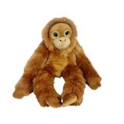 Orangutan big eyes 50cm - 1