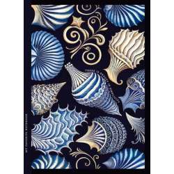 Notatnik ozdobny 143x200/64K kratka TW Muszle
