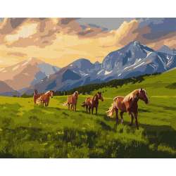 Malowanie po numerach - Wolny duchem 40x50cm - 1