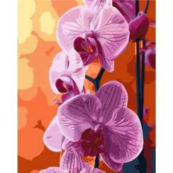 PROMO Malowanie po numerach - Orchidea 40x50cm QB900-030 (QB2425)