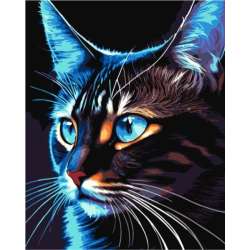 PROMO Malowanie po numerach - Cosmo-cat 40x50cm QB900-015 (QB2586)