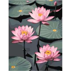 PROMO Malowanie po numerach - Kruche lotosy 30x40cm QB900-063 (QB2845)