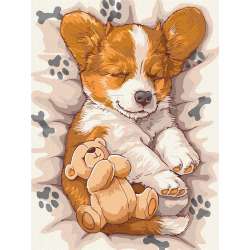 Malowanie po numerach - Śpiący corgi 30x40cm - 1