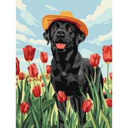 Malowanie po numerach - Uroczy labrador 30x40cm