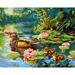Malowanie po numerach - Kacza rodzina 40x50cm
