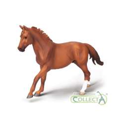 CollectA 80017 ogier Phar Lap maści kasztanowej (004-80017)