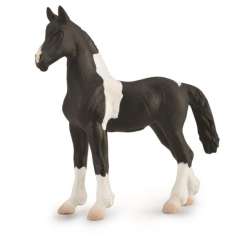CollectA 88893 źrebię Barock Pinto rozmiar:M (004-88893) - 1