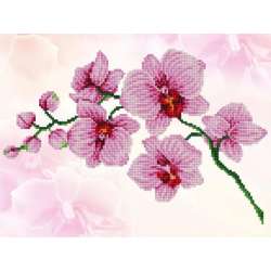 PROMO Haft diamentowy Diamond Dotz Orchidea 49x39cm DD6034 (018-DD6034) - 1