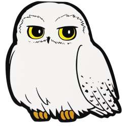 Harry Potter Notes - Hedwiga - 1