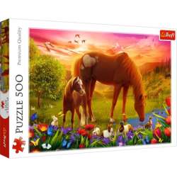 Puzzle 500el Konie na łące 37451 Trefl (37451 TREFL) - 1