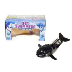 Delfin pływający
