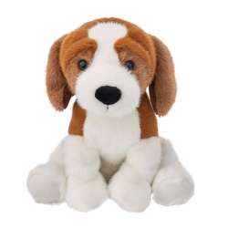 Pies Beagle 25cm - 1