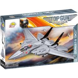 Top Gun - Grumman(R) F-14 Tomcat - 1