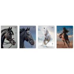 Zeszyt A5/32K kratka M 70g UV Wild Horses (10szt)