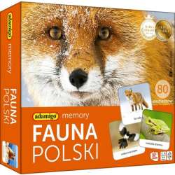 Memory Fauna Polski gra pamięciowa ADAMIGO (5902410007738) - 1