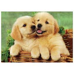 Mozaika diamentowa 5D - Psy 40x30cm - 1