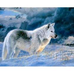 Mozaika diamentowa 5D - Wilk 40x30cm - 1