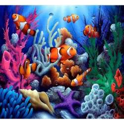 Mozaika diamentowa 5D - Rafa 40x30cm - 1