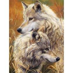 Malowanie po numerach - 40x50cm Wilki