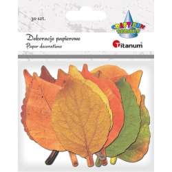Dekoracje kartonowe Liście mix 30szt - 1