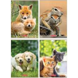 Zeszyt A4/32K kratka Animals (10szt)