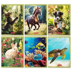Zeszyt A5/16K linia podwójna Animals (20szt) - 1