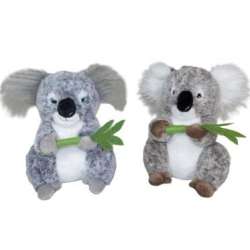 Koala 40cm MIX